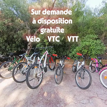 Villa Rita La D'or De La Presqu'ile De Giens Hyères