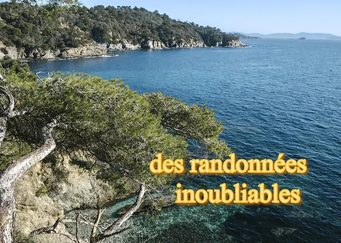 Rita La D'or De La Presqu'ile De Giens * Hyères