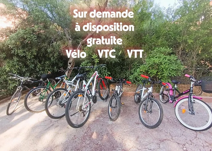 Villa Rita La D'or De La Presqu'ile De Giens Hyères