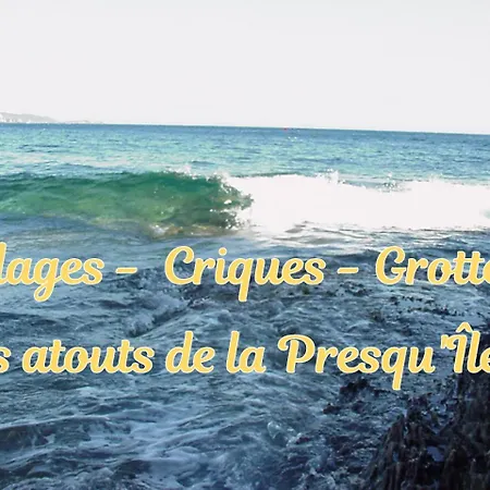 Superbe 5 Etoiles Presqu'ile De Giens La Madrague Rita La D'or Vue Piscine *