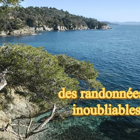 Superbe 5 Etoiles Presqu'ile De Giens La Madrague Rita La D'or Vue Piscine * Єр