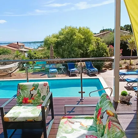 Superbe 5 Etoiles Presqu'ile De Giens La Madrague Rita La D'or Vue Piscine イエール